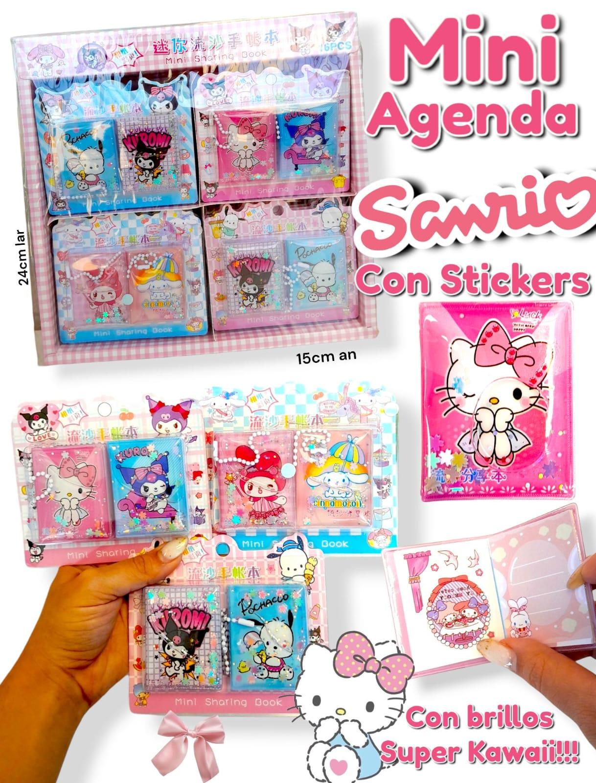 Set x 2 Mini Agenda SANRIO Con Stickers